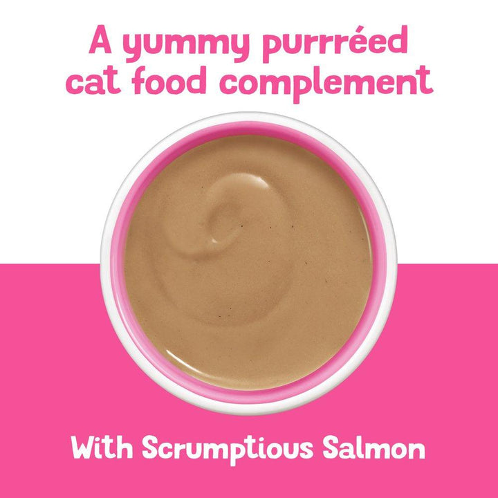 Purina Lil' Shakes Salmon Puree 1.55 Oz - themiraclebrands.com