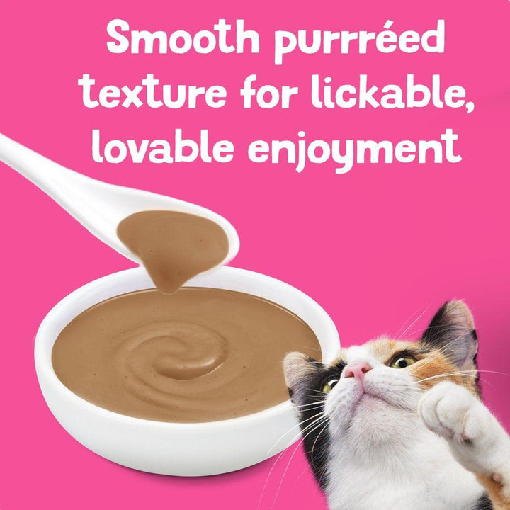 Purina Lil' Shakes Salmon Puree 1.55 Oz - themiraclebrands.com