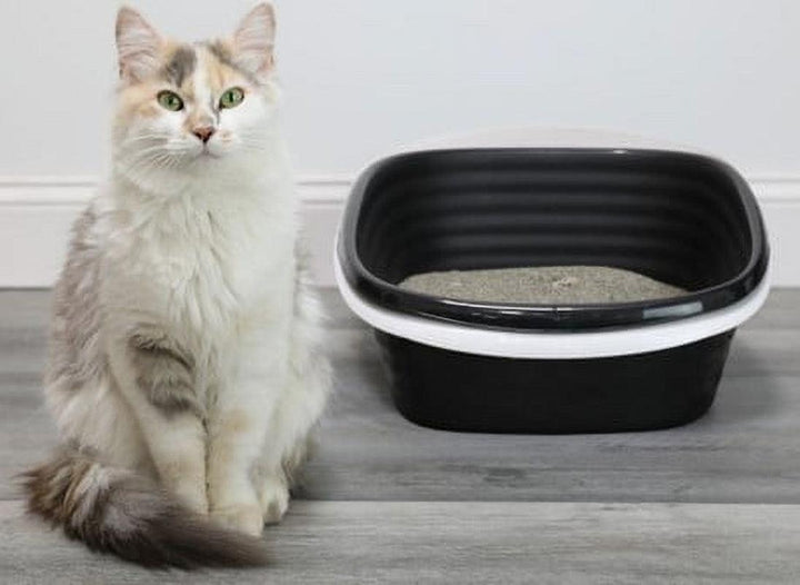 Sifting Cat Litter Box Black - themiraclebrands.com