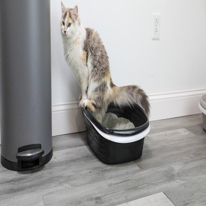 Sifting Cat Litter Box White - themiraclebrands.com