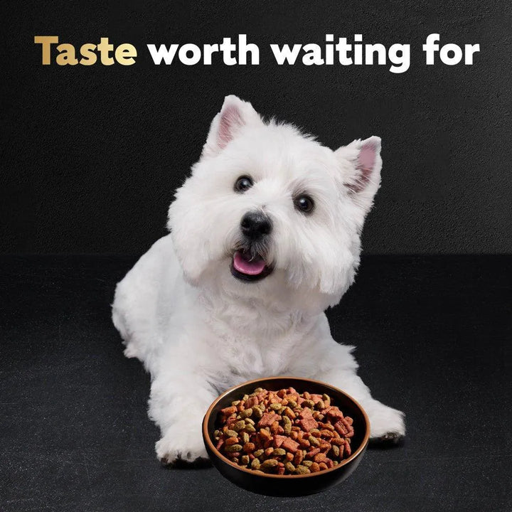 Small Breed Filet Mignon Flavor Dog Food 5 Lb - themiraclebrands.com