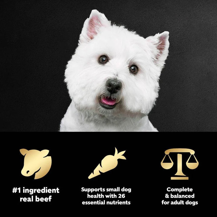 Small Breed Filet Mignon Flavor Dog Food 5 Lb - themiraclebrands.com