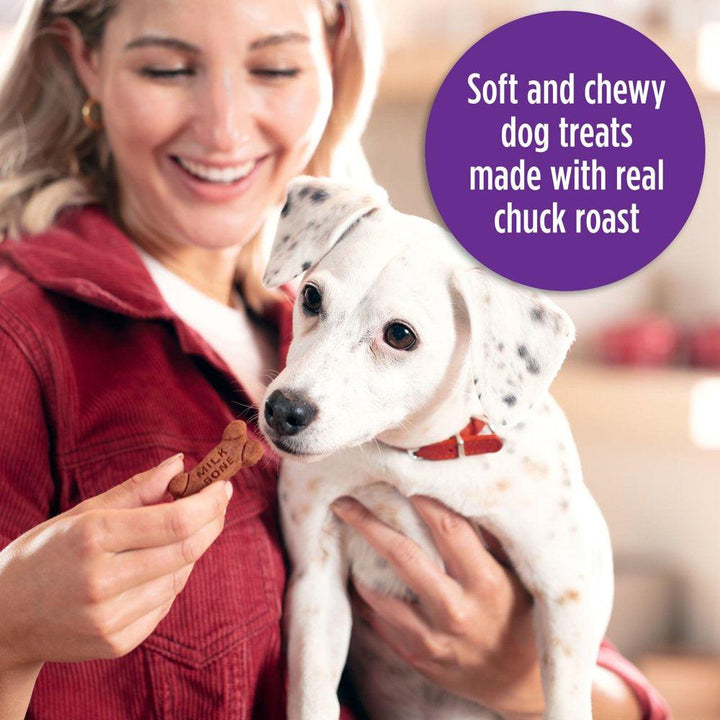 Soft Chewy Dog Treats Beef Filet Mignon Recipe 25 Oz - themiraclebrands.com